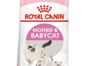 Thức ăn cho mèo con và mèo mẹ ROYAL CANIN Mother & Babycat